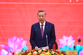 苏林总书记、国家主席。图自越通社