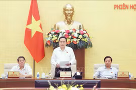 国会主席陈青敏在闭幕式上发表讲话。图自越通社