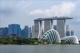 附图。图自越通社