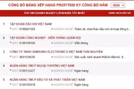 2024年越南增长最快企业500强名单出炉。图自PROFIT500
