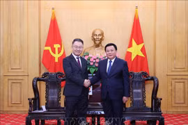 胡志明国家政治学院院长阮春胜和韩国国家人力资源开发研究院院长金采桓。图自越通社