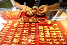 附图。图自越通社