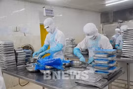 附图。图自越通社