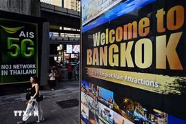 附图。图自越通社