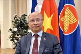 越南驻法国大使丁全胜。图自越通社