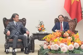 越南政府副总理兼外交部长裴青山会见日本国际协力银行执行董事前田匡史。图自越通社