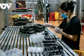 到石安品尝东北山林特色美食。图自VOV