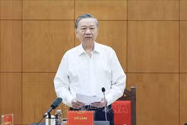 越共中央总书记苏林发表讲话。图自越通社