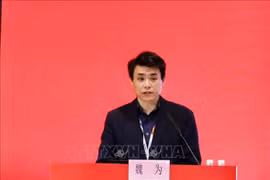 中国中央广播电视总台越南语部主任、越南问题研究员魏为。图自越通社