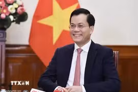 越南外交部副部长何金玉。图自越通社