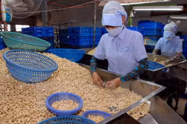 附图（图片来源：越通社）