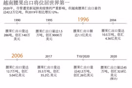 图表新闻：越南腰果出口将位居世界第一