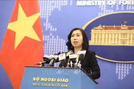 越南外交部就一名越南公民在韩国感染新冠肺炎的信息做出回应