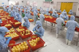 加工制造业在吸引外资方面发挥关键作用 