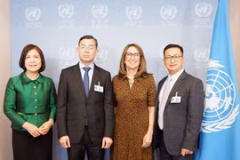 越南国家审计署与联合国深化全面合作