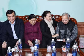 越南国会主席阮氏金银赴广南省考察调研