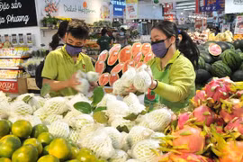 越南果蔬产业出口形势良好