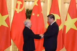 深化越中全面战略合作关系