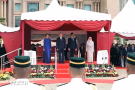 马来西亚总理安瓦尔·易卜拉欣及其夫人为越共中央总书记苏林和夫人举行欢迎仪式。图自越通社