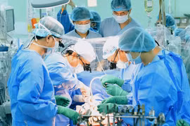 附图。图自越通社