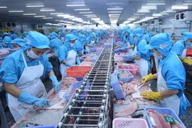 附图 图自越通社