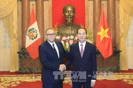 越南国家主席陈大光会见前来递交国书的6国新任驻越大使（组图）
