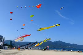 岘港市风筝节热闹开场（组图）