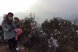 冰雪天气袭击越南北部山区（组图）