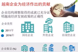  图表新闻：越南企业为经济作出的贡献 