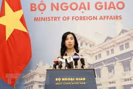 越南外交部例行记者会：越南祝贺柬埔寨成功举办第六届国会选举