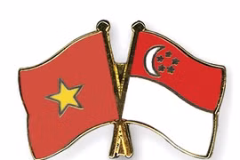 越南与新加坡合作中心运行原则获批