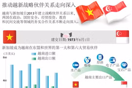 图表新闻：推动越新战略伙伴关系走向深入 