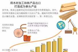 图表新闻： 将木材加工和林产品出口打造成为拳头产业