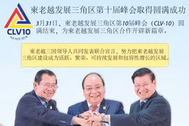 图表新闻：柬老越发展三角区第十届峰会取得圆满成功