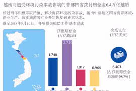  图表新闻：越南向遭受环境污染事故影响的中部四省拨付赔偿金6.4万亿越盾