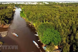 让九龙江三角洲旅游在国际旅游地图上大放异彩