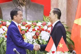 越南与印度尼西亚加强渔业管理合作