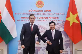 越南与匈牙利两国外长举行会谈