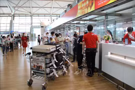 230名越南公民从韩国安全回国
