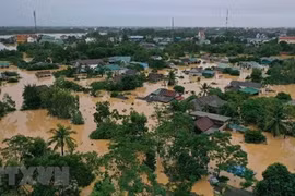 世界气候学家深入研究越南的严重暴雨水灾