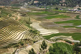 木江界注水季节：西北山林的壁画