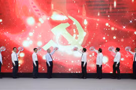迎接越共十三大： “越南共产党第十三次全国代表大会”网站正式开通