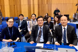 越南积极参与核安全合作