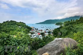越南生物圈保护区管理和保护方向