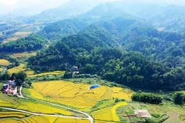 探索广宁省平辽边境地区的荒野之美