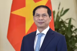 越南外交部长裴青山。图自越通社