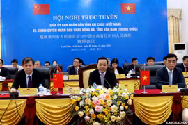 越南莱州省人民委员会与中国云南省红河州人民政府视频会议
