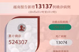 图表新闻：越南报告新增13137例确诊病例 新增死亡病例281例