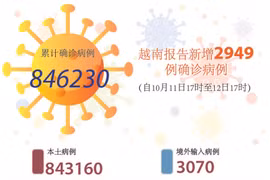 图表新闻：越南报告新增2949例确诊病例 新增死亡病例93例
