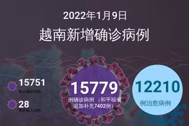 图表新闻：1月9日越南报告新增的确诊病例